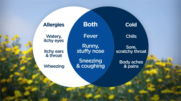 What Are the Best Ways to Find Relief from Cold?